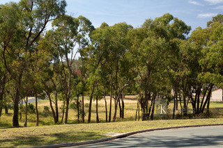 View from Street (2019-04-23)