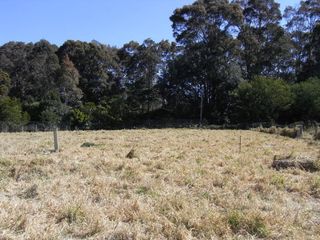 (2012-11-23)
