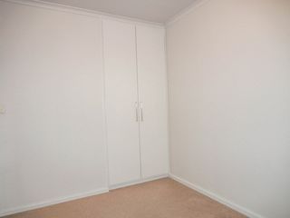 (2019-02-12)