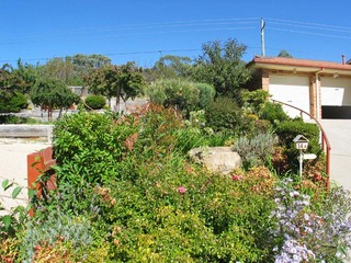 Frontyard (2008-03-14)