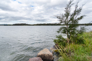 Nearby lake shore (2015-10-26)