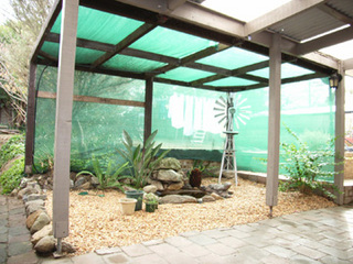 Pergola (2005-06-24)
