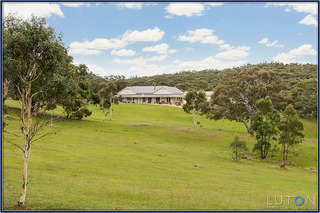 Paddocks (2015-02-04)