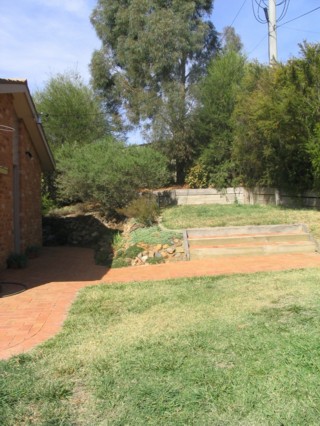 Back Garden (2004-04-20)