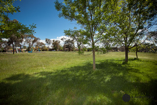 Parkland (2010-10-28)