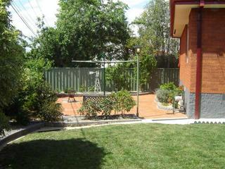 Rear yard (2008-11-06)