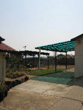 Backyard (2007-01-18)