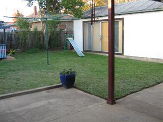 Backyard (2009-05-15)