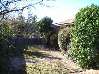 Backyard (2010-09-16)