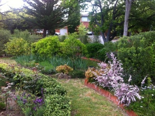 Garden (2015-04-09)