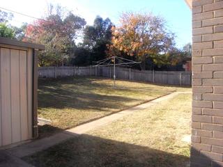 Backyard (2014-06-18)
