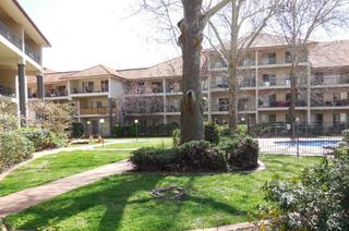 Standard Photo (2019-04-17)