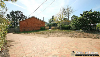 Backyard (2007-04-11)