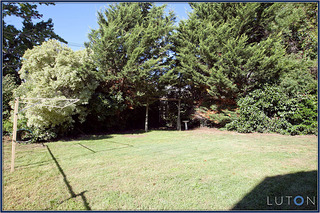 Backyard (2011-06-02)