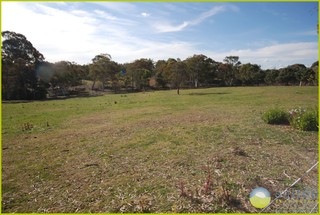 Paddock (2014-07-24)