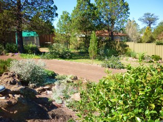 Backyard (2010-03-22)