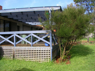 Rear (2005-10-16)