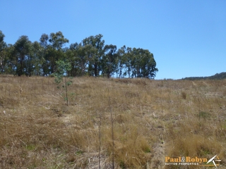Paddock (2013-02-08)