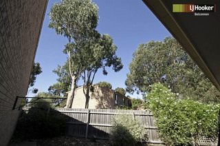 Backyard (2011-02-04)