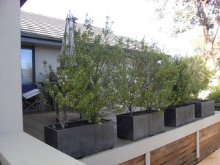 Deck (2011-06-09)