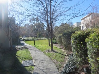 Common garden (2017-06-30)
