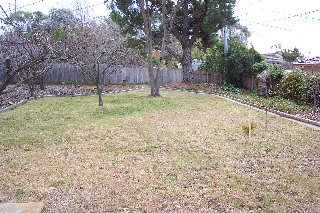 Backyard (2002-08-09)
