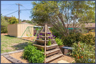 Backyard & shed (2014-02-26)