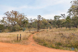Reserve Opposite (2015-03-17)