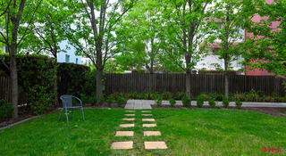 Standard Photo (2019-04-15)