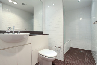 Bathroom (2011-02-14)