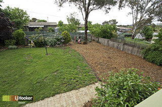 Backyard (2010-11-17)