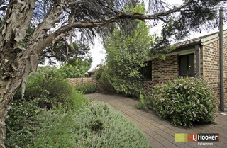 Garden (2011-02-17)
