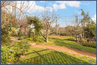 Rear yard (2014-08-01)