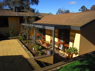 Backyard (2010-08-04)