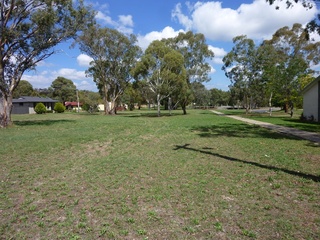 Nature Strip (2014-03-17)