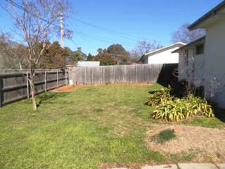 Backyard (2012-12-07)