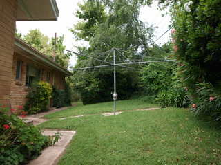 Rear Yard (2011-01-04)