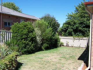 Garden (2005-02-08)