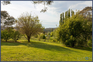 View Towards Candy Road (2012-11-01)