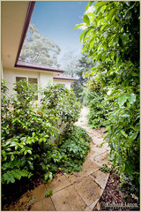 Pathway (2010-12-09)