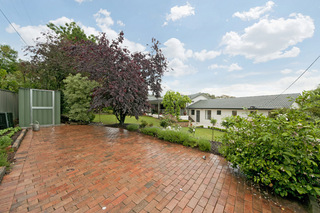 Rear Garden (2011-11-10)