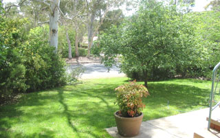 Front Garden (2003-01-10)