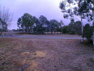 Reserve (2004-06-10)
