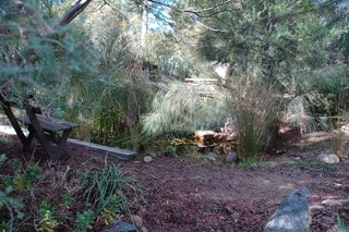 Frog Pond Surrounds (2005-07-24)