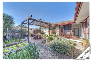 Back Courtyard (2016-10-06)