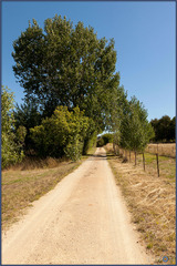 Driveway (2013-08-29)