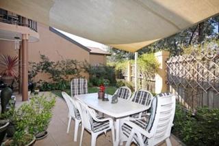Backyard (2010-09-01)