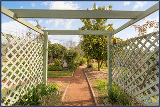 Garden (2014-08-01)