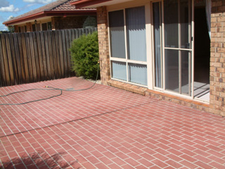 Backyard (2003-04-02)