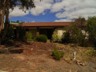 Frontyard (2006-03-24)